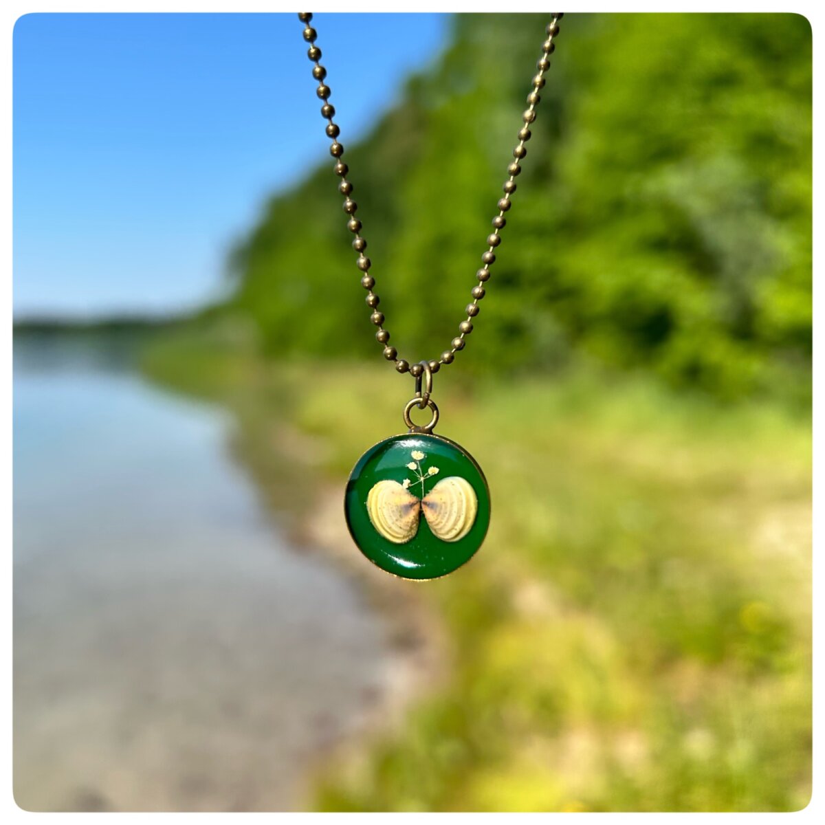 Halsketten mit echten Muscheln1
