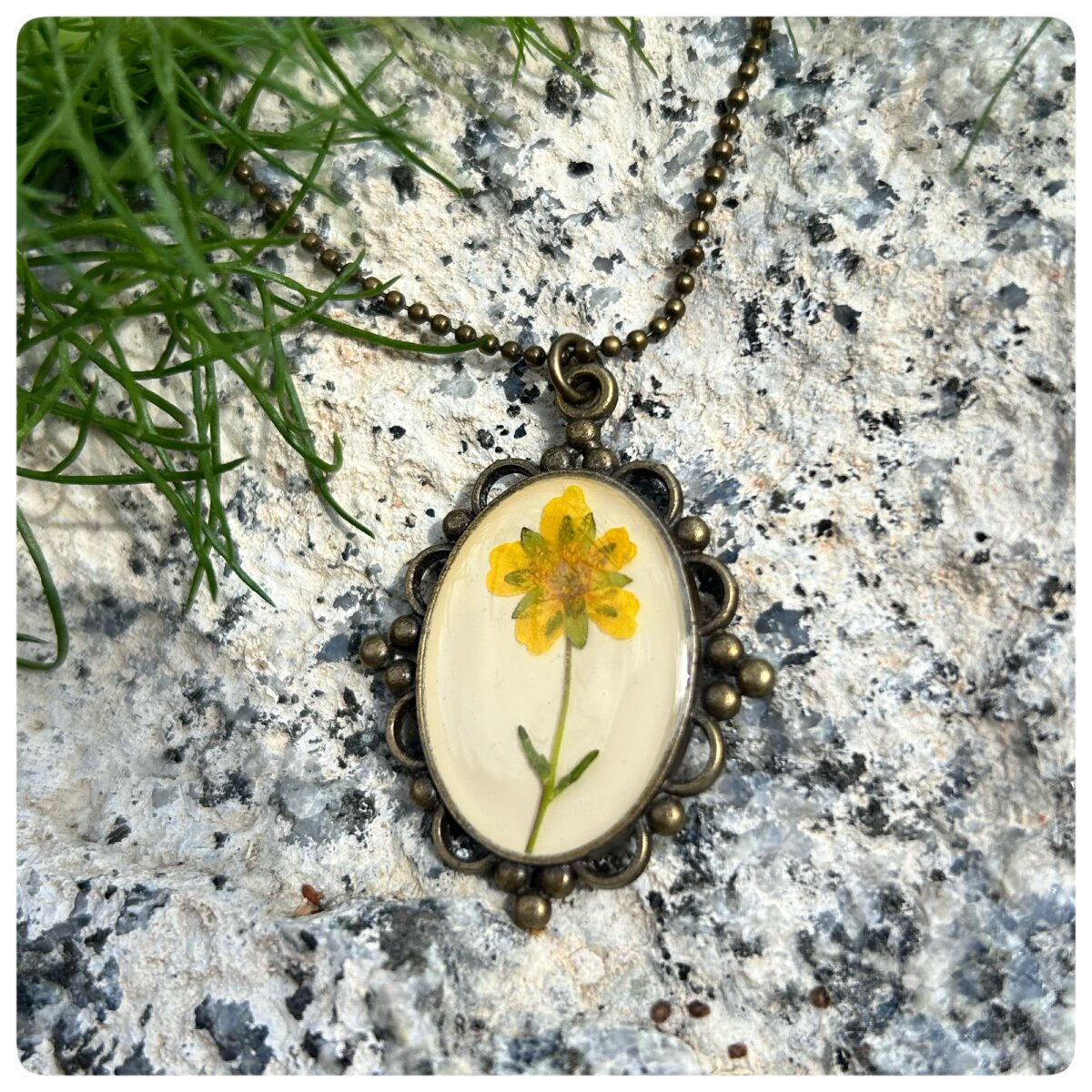 Halsketten verspielt mit echter Wildblume6