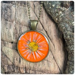 Halskette orange mit echtem Gänseblümchen